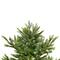 6.5ft. Pre-Lit Real Touch™️ Oregon Noble Fir Artificial Christmas Tree, Warm White LED Lights